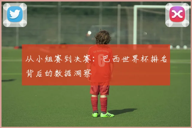 从小组赛到决赛:巴西世界杯排名背后的数据洞察