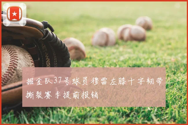 掘金队37号球员穆雷左膝十字韧带撕裂赛季提前报销