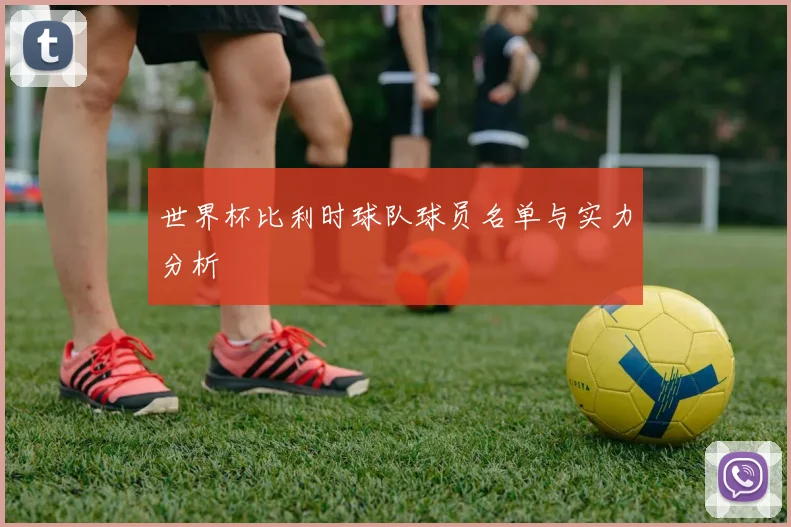 世界杯比利时球队球员名单与实力分析