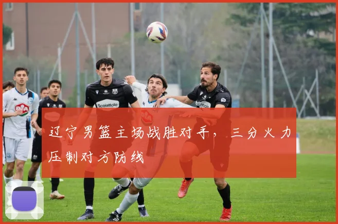 辽宁男篮主场战胜对手，三分火力压制对方防线