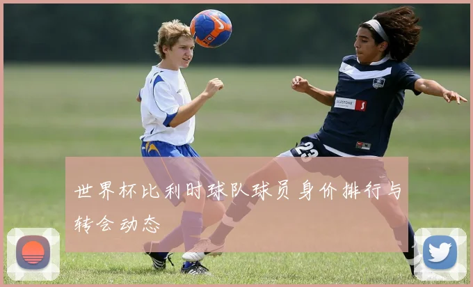 世界杯比利时球队球员身价排行与转会动态