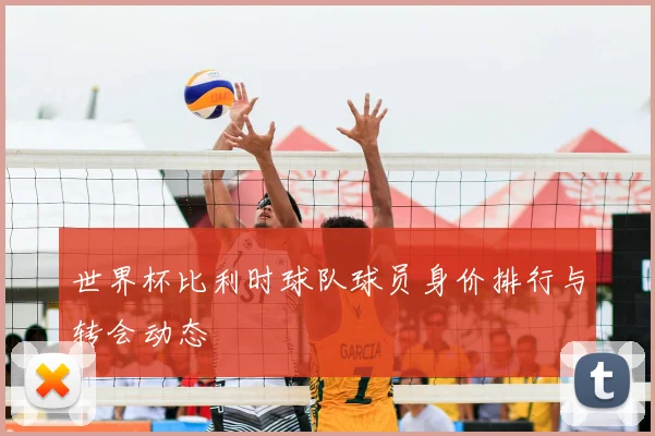 世界杯比利时球队球员身价排行与转会动态