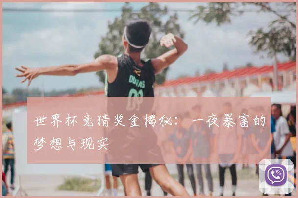 世界杯竞猜奖金揭秘:一夜暴富的梦想与现实