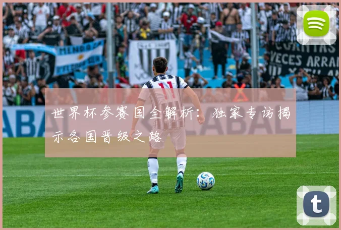 世界杯参赛国全解析:独家专访揭示各国晋级之路